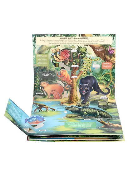 Джунгли. Книжка панорамка - фото 3