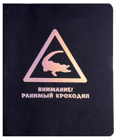 Тетради А5 48л кл. "TOTAL BLACK. Attention" цветной диз.картон, тиснение фольгой Голография - фото 6