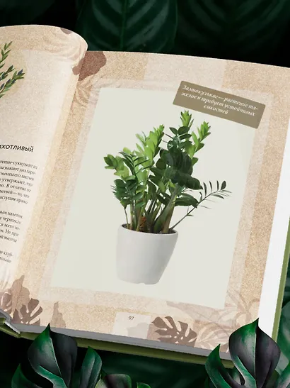 Зеленая комната. Как стать повелителем домашних джунглей - фото 12