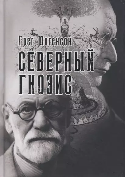 Северный Гнозис. Тор, Бальдр и Вёльсунги в мысли Фрейда и Юнга - фото 1