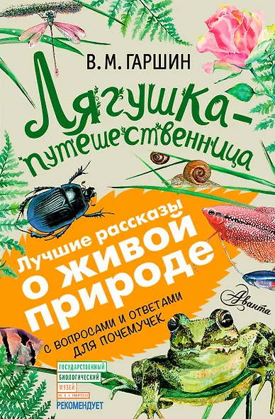 Лягушка-путешественница: сказки, рассказы. С вопросами и ответами для почемучек - фото 1