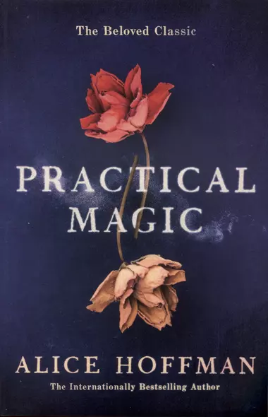 Practical Magic - фото 1