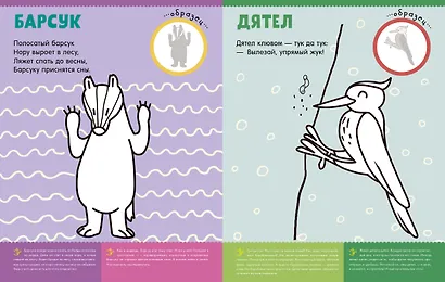 Первая раскраска с наклейками. Кто живёт в лесу? - фото 2