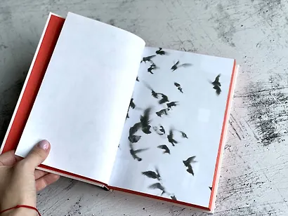 Жутко громко и запредельно близко - фото 8