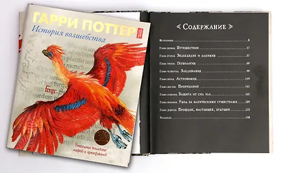 Гарри Поттер. История волшебства - фото 3