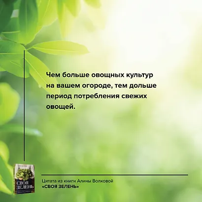 Своя зелень. Выращиваем, ухаживаем и едим - фото 8