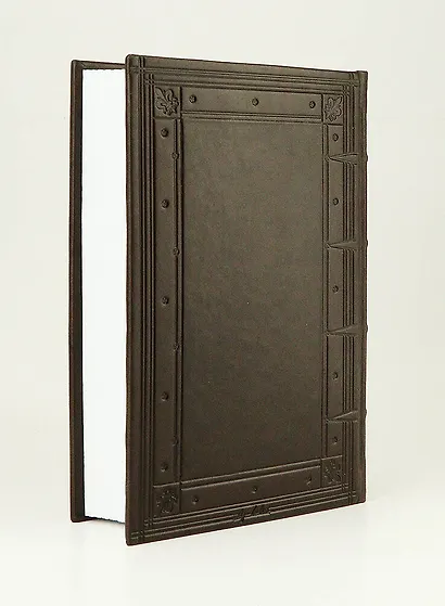 Государь. История Флоренции - фото 2