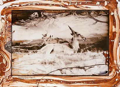 Peter Beard - фото 4