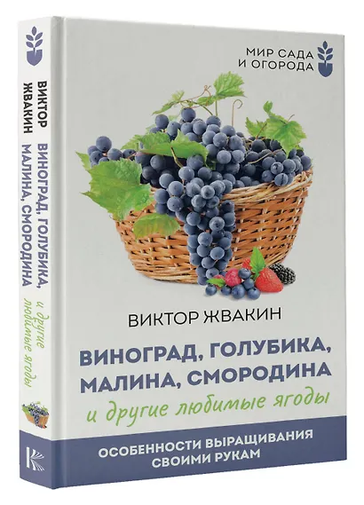 Виноград, голубика, малина, смородина и другие любимые ягоды. Особенности выращивания своими руками - фото 3