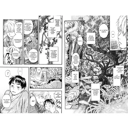 Знаток Муси. Бокс 1 (Комплект. Том 1-5) (Мастер Муси / Mushishi). Манга - фото 9