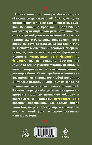 Встречный бой штрафников - фото 2