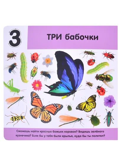 Фотокнига. Цифры - фото 4