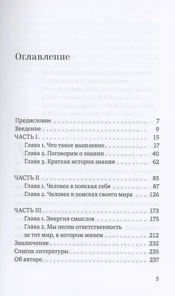Теория смыслов - фото 2
