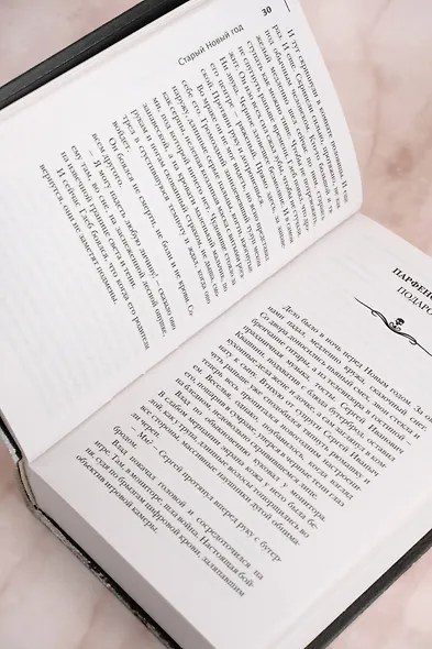 Самая страшная книга. Черный Новый год - фото 8