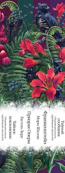 Набор: Элегантная мистика-2 (из 4-х книг: Тайное поклонение, Призрак Оперы, Франкенштейн, Тайный сообщник) - фото 8