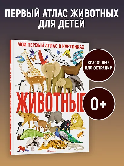 Животные. Мой первый атлас в картинках - фото 4