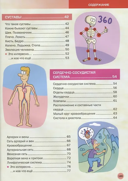 Атлас анатомии для детей и взрослых - фото 3