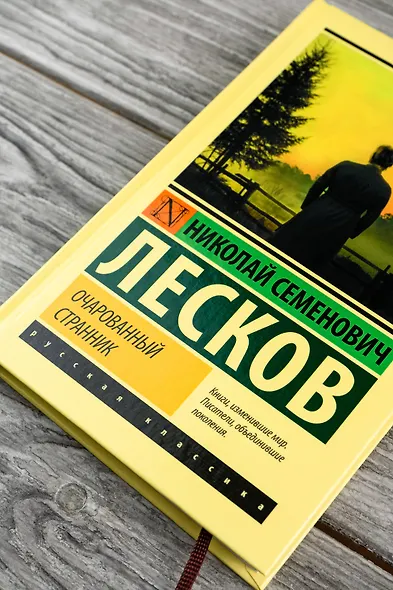 Очарованный странник - фото 5