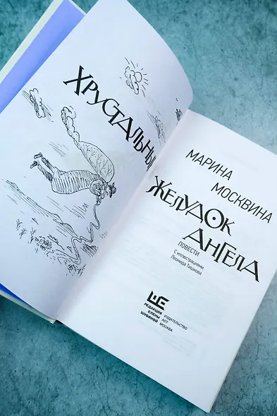 Хрустальный желудок ангела - фото 6