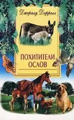 Похитители ослов - фото 1