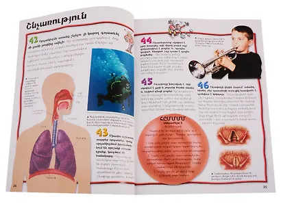 100 фактов. Тело человека (на армянском языке) - фото 7