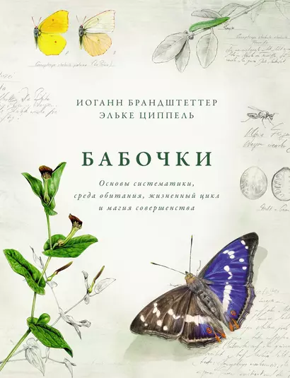 Бабочки. Основы систематики, среда обитания, жизненный цикл и магия совершенства - фото 1