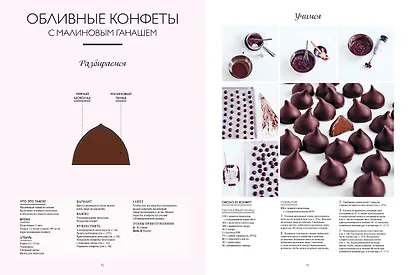 Большая книга шоколатье: Конфеты, выпечка, десерты, антреме. Учимся готовить шедевры - фото 9