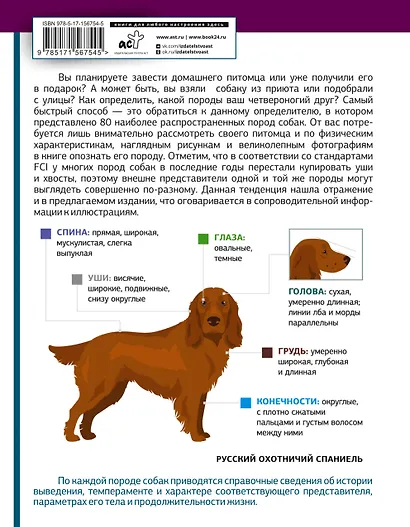 Определитель собак. Физические характеристики и особеннности породы - фото 2