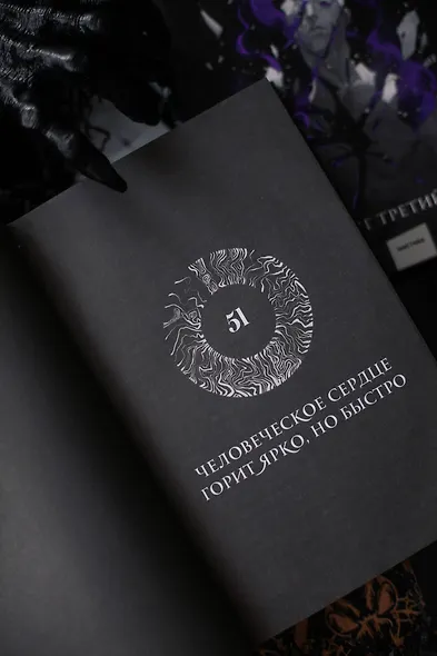 Как поймать монстра. Круг третий. Книга 2 - фото 10