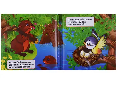 Чей домик? Книжка-пищалка для ванной - фото 3