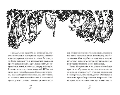 Мальчик из джунглей - фото 6