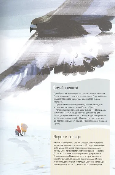 Степи, прерии, пампасы. Один год жизни исчезающего биома - фото 5