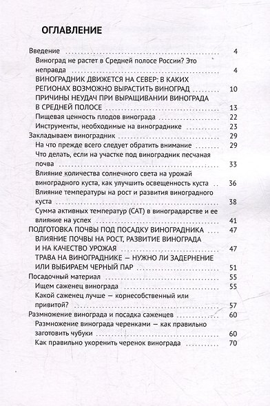 Виноград в Средней полосе России. Секреты северного виноградарства - фото 3