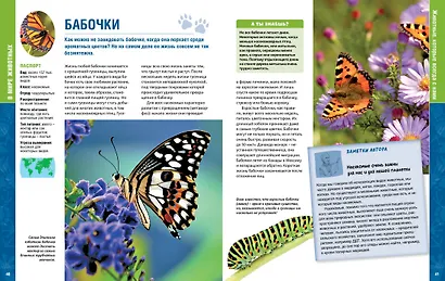 В мире животных - фото 6