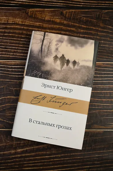 В стальных грозах - фото 5