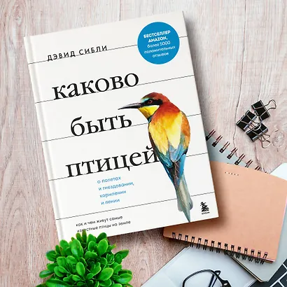 Каково быть птицей: о полетах и гнездовании, кормлении и пении. Как и чем живут самые известные птицы на земле - фото 9