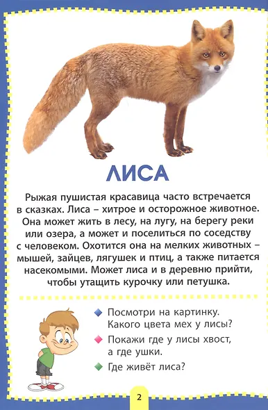 Животные мира. Фотокнига для самых маленьких - фото 2