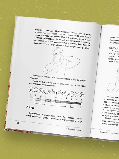 Ваша красота зависит от мышц лица. Как с помощью самомассажа вернуть молодость и сияние в любом возрасте - фото 11