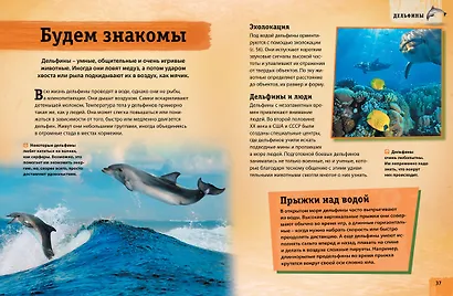 Энциклопедия животных. Взрослые и детёныши - фото 2
