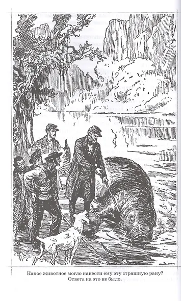 Таинственный остров - фото 9