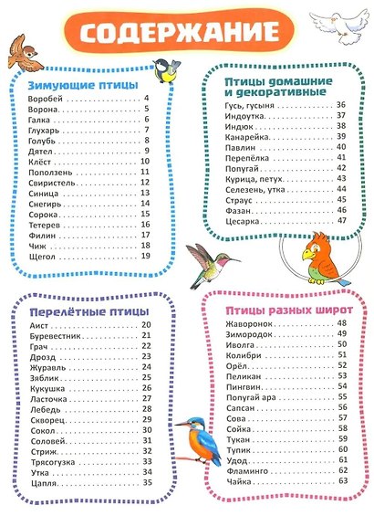 Я познаю мир. Птицы. Познавательная книга для детей 4-8 лет - фото 3