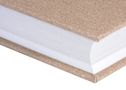 Ветхий завет: Книга пророка Иеремии. Плач Иеремии. Послание Иеремии. Книга пророка Варуха - фото 2