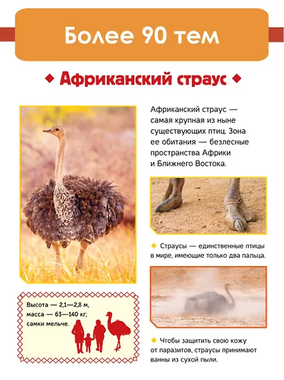 Животные - фото 5