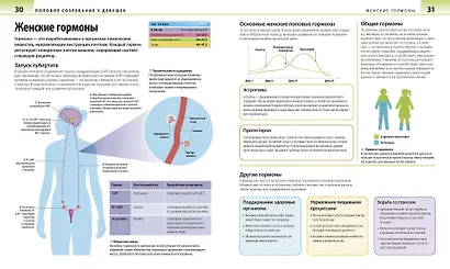 Как помочь ребенку повзрослеть. Иллюстрированное руководство для родителей по переходному возрасту - фото 3
