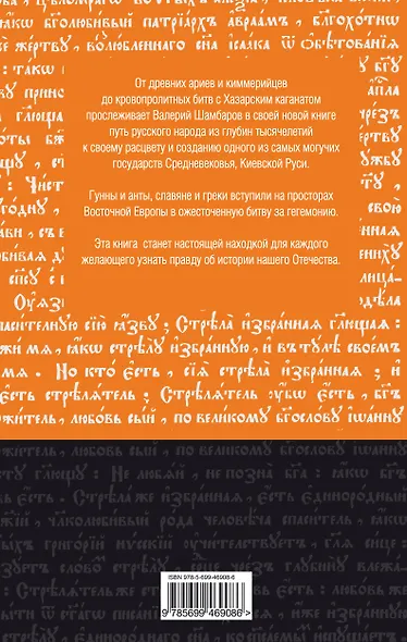Выбор веры, или Войны языческой Руси - фото 2