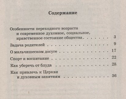 Православное воспитание мальчиков переходного возраста (советы священника) - фото 2