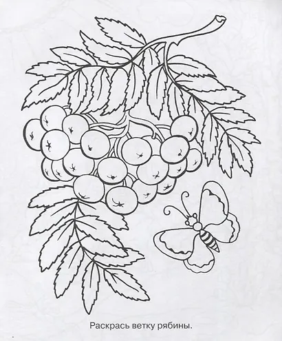 Ёжик - фото 4