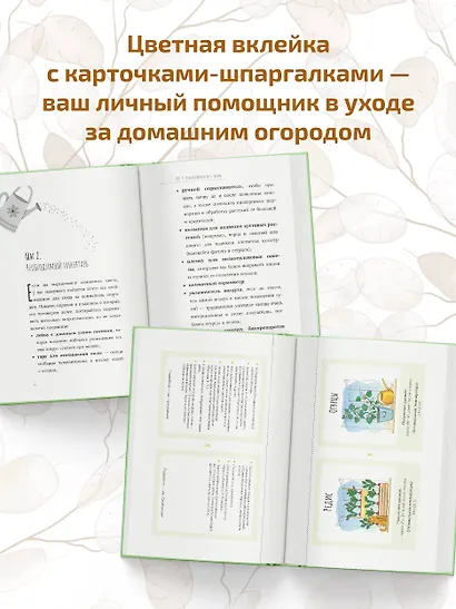 Огород на подоконнике. Идеальный урожай не выходя из дома - фото 6