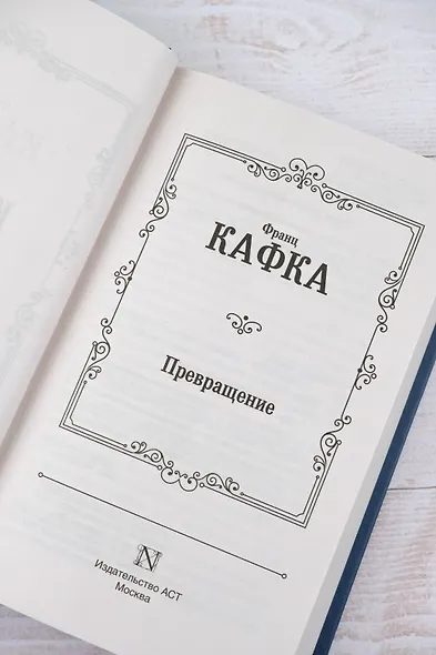 Похождения бравого солдата Швейка - фото 7
