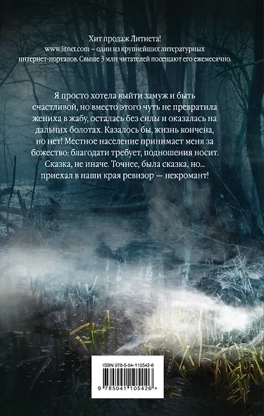 Ведьма и Некромант - фото 2